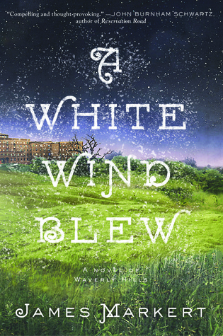 awhitewindblewcover